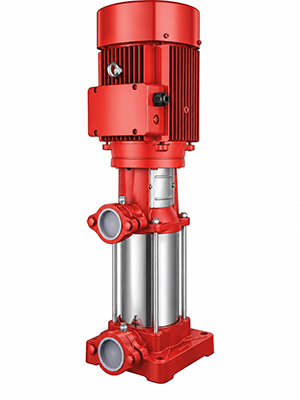 Jockey Pump